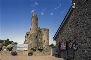 An Evening at Ferns Castle