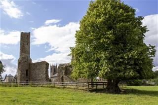 St. Mary’s Augustinian Abbey