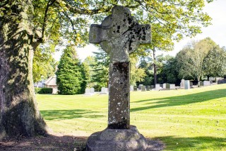 Ferns High Crosses