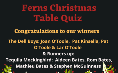 Ferns Christmas Lights Table Quiz